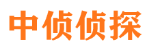 伍家岗市侦探公司